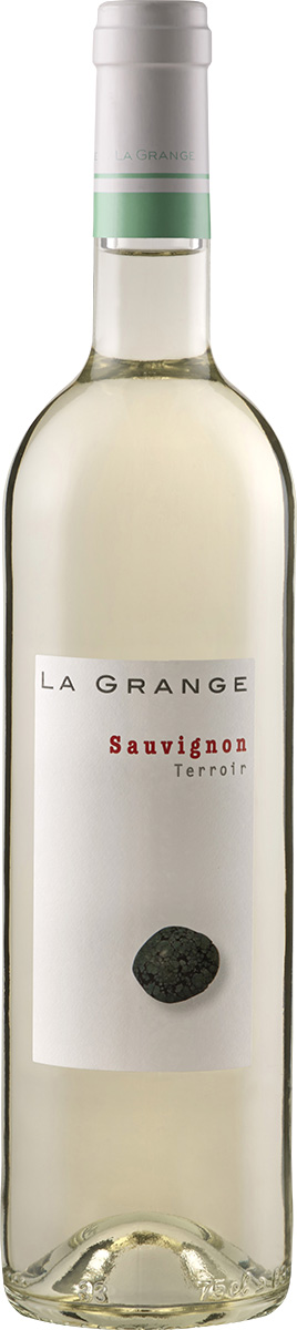 Terroir Sauvignon Blanc IGP Pays d'Oc
